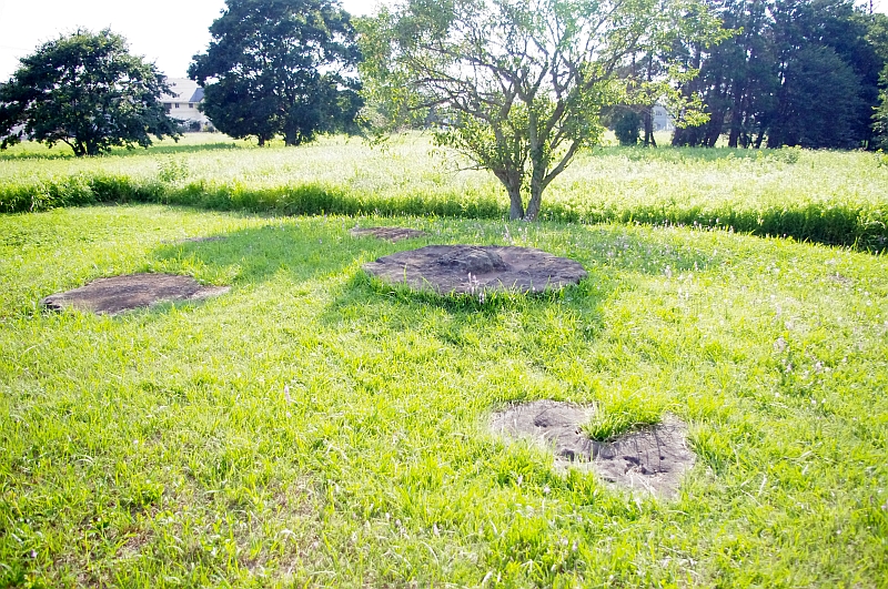 国分寺跡は土台の石だけ残っている