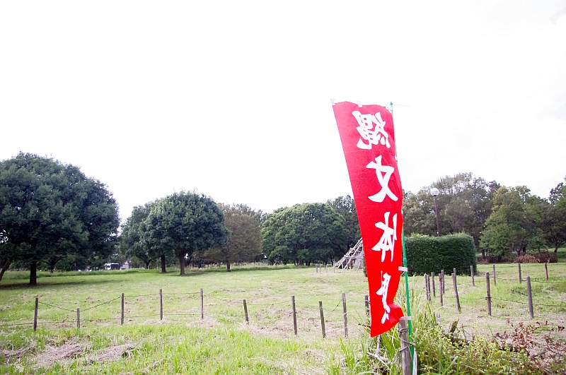 縄文体験ツアー(加曾利貝塚)