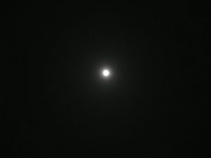 シリウスさんって誰だったんだろう?