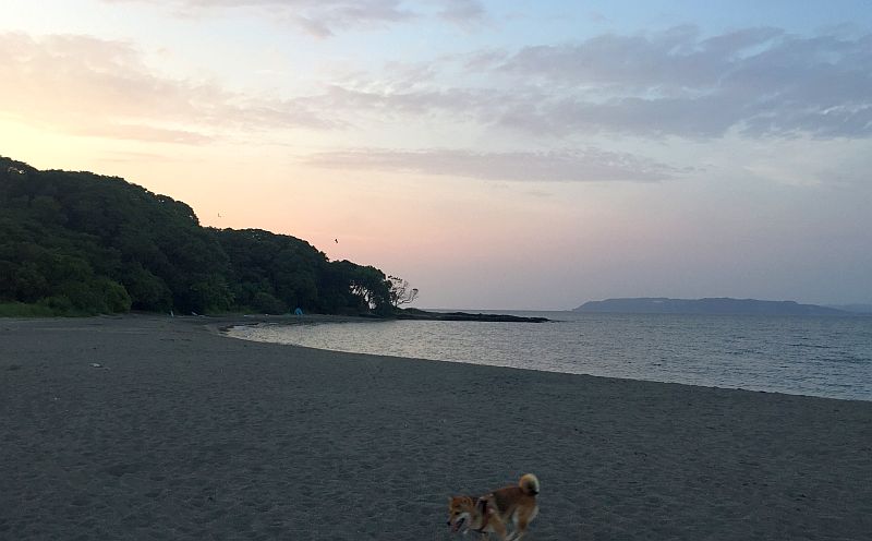 鼻づまりを瞑想で治す おバカ理論です