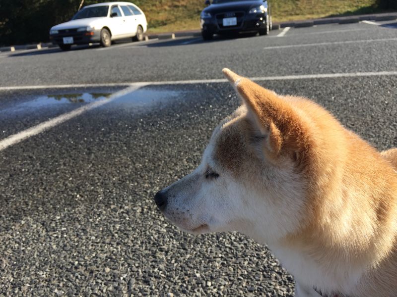 人生はシンプルだということに多くの人が気が付き始めている