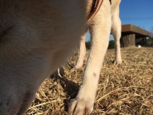 なんのための引き寄せの法則・成功法則か考える