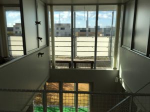 無印良品の家をWEB内覧会（間取り・内装 編）