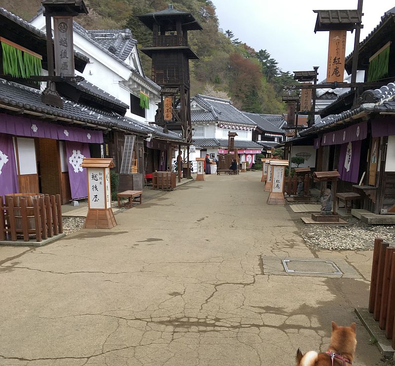 日光江戸村は予想を完全に裏切る面白さ 春のわんにゃん祭