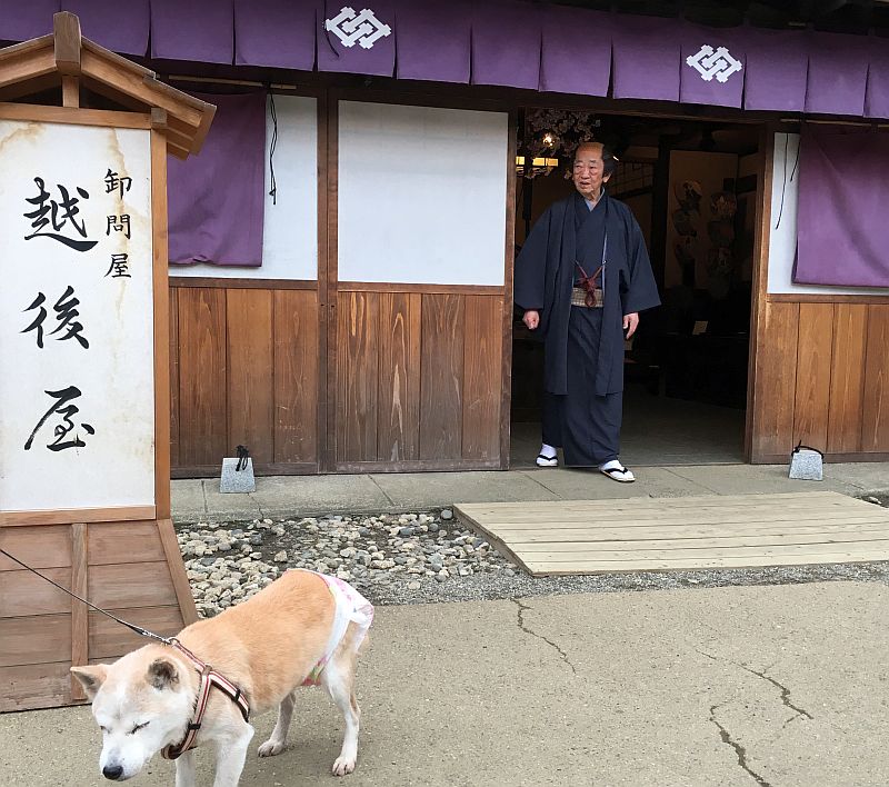 日光江戸村は予想を完全に裏切る面白さ 春のわんにゃん祭