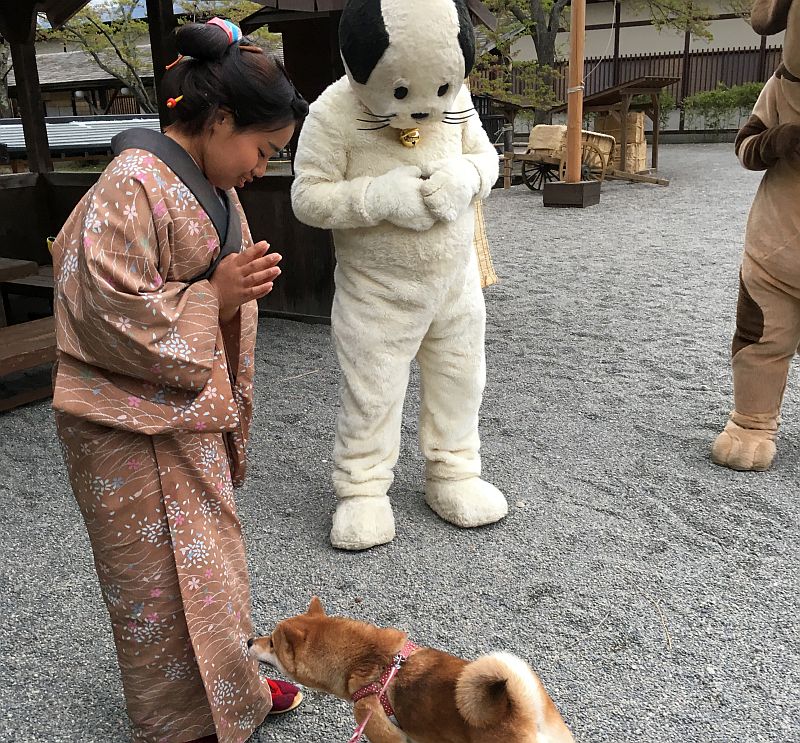 日光江戸村は予想を完全に裏切る面白さ 春のわんにゃん祭