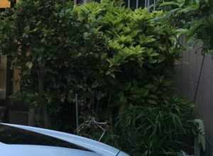 役所や預金の手続、お布施や仏壇、お墓はどうする?