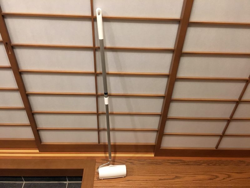 玄関の掃除にモップや雑巾を使うと大失敗します タイルが無残なことに