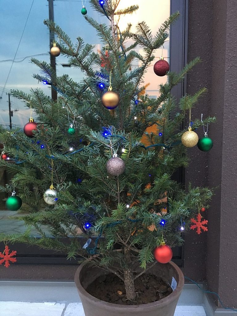 79200円 ランキング上位のプレゼント クリスマスツリー 大型 大きい 360cm ブラックフォレストツリー もみの木
