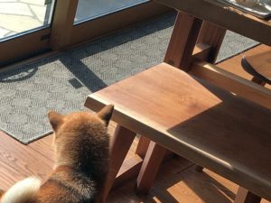 注文住宅のストレス２大要素を攻略する！！