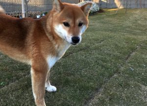 霊が見える人には特徴があるのか?