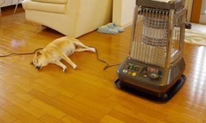 土地のパワーを体験した話(後編)