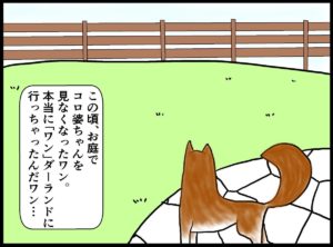 犬は歳をとると動かなくなる