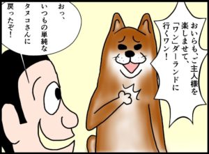 タヌコはご褒美に釣られない犬である