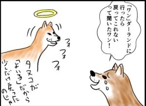 犬は霊が見えるのか