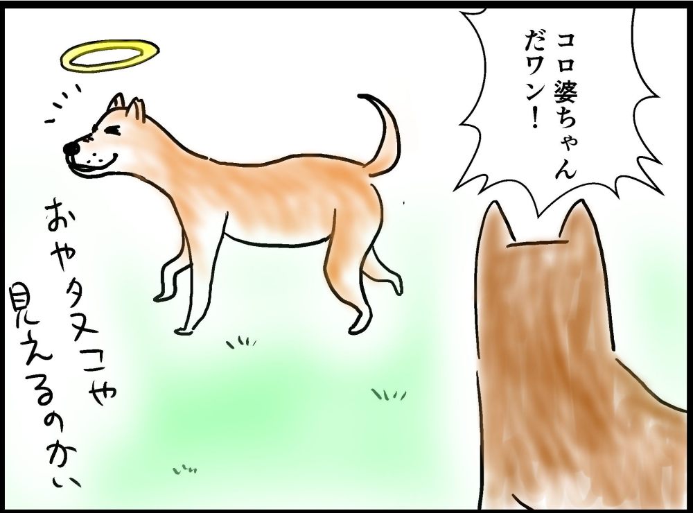 スピリチュアルの世界は「なんでもあり」の世界