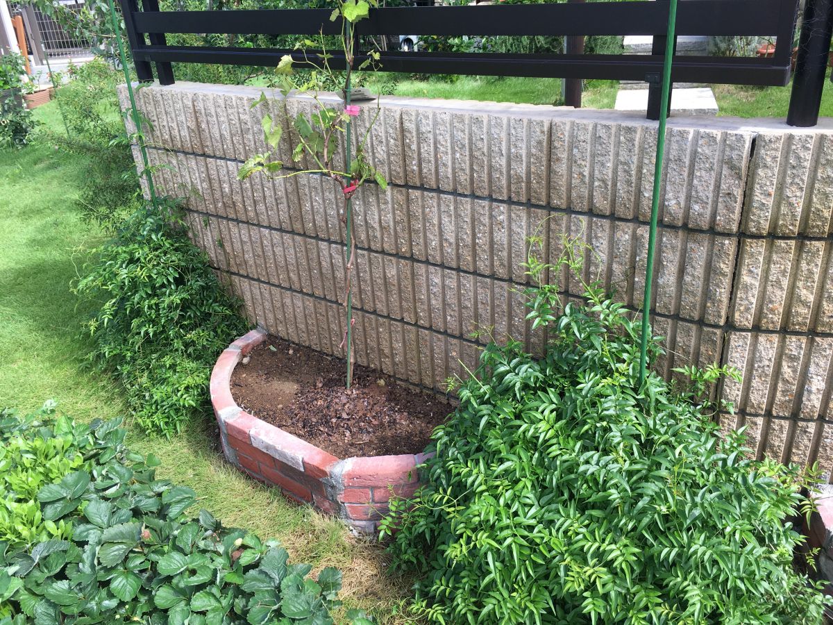 花壇ブロックで手抜き花壇を作ってみた