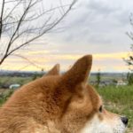 公安にマークされた話 笑