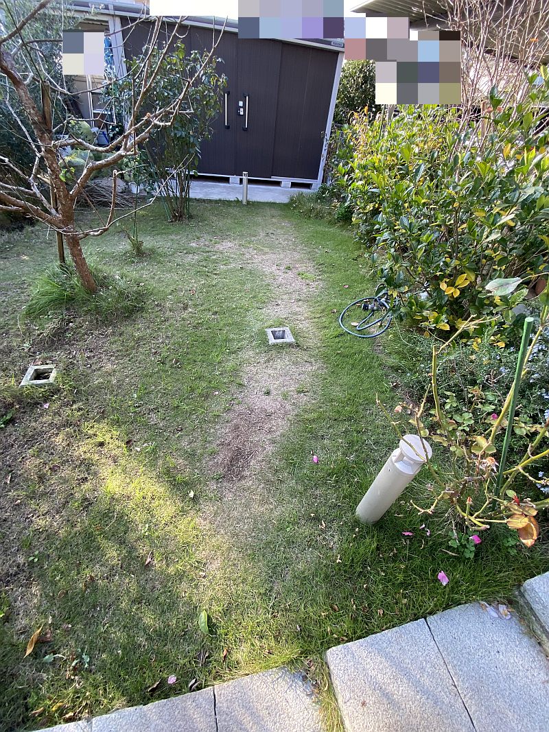 芝生が枯れ始めた 問題は日当たり