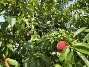 ブログを一時的に閉鎖しております